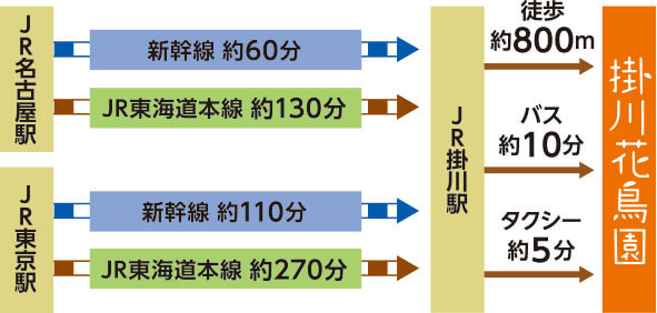 電車から案内地図