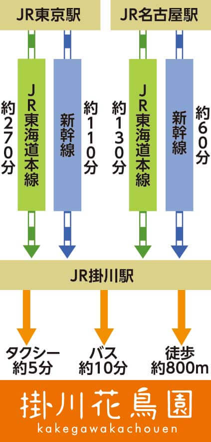 電車から案内地図